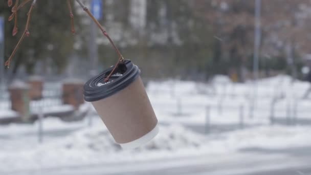 Een lege kartonnen beker met een koffiedeksel hangt in de winter aan een boomtak. - Video
