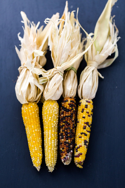Keményszemű kukorica - Fotó, kép