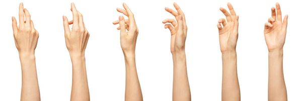Elegante weibliche Handfläche oder Handgelenk isoliert auf weiß. Variation schöne Frauenhandfläche mit angewinkelten Fingern. Vorder- und Rückseite - Foto, Bild