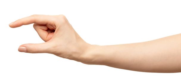 Γυναικείο χέρι που δείχνει μέγεθος μικρό ή μεγάλο αντικείμενο. απομονωμένο σε λευκό - Φωτογραφία, εικόνα