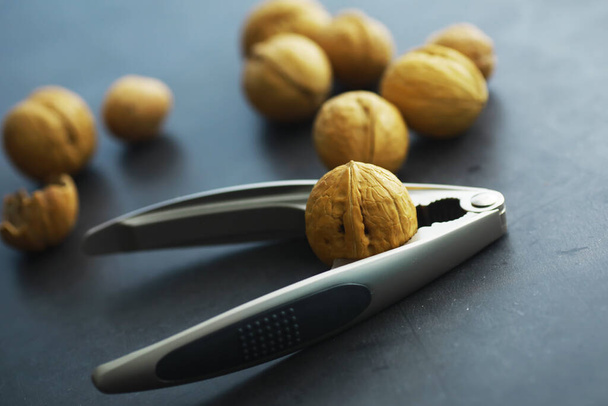 Walnuts in a shell on gray background. Nutcracker and scattering of nuts. - Photo, image