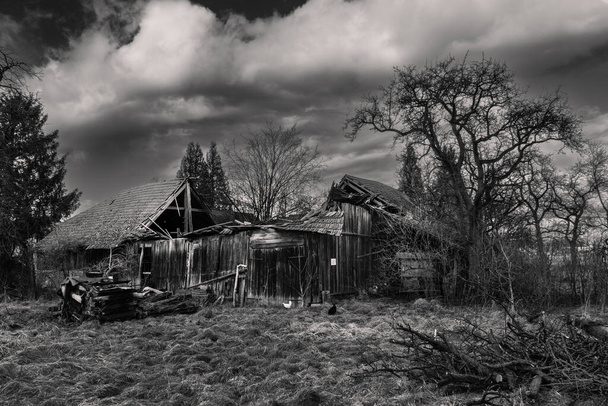 Collapsed, Old Barn in a Haunting Rural Landscape in the Mostviertel Region of Lower Austria in Black and White - Photo, Image