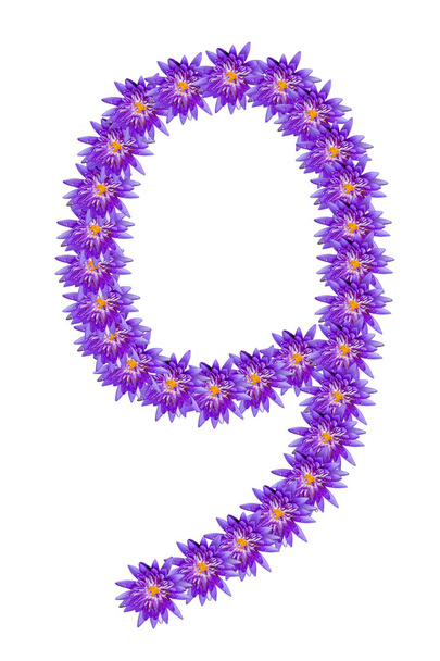 Numéro du lotus Nombre.9
 - Photo, image