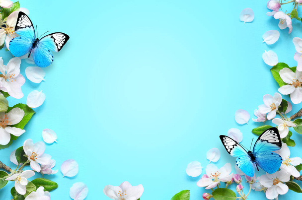 Flowering branches and petals on a blue background and butterfly. Spring concept. - Photo, Image