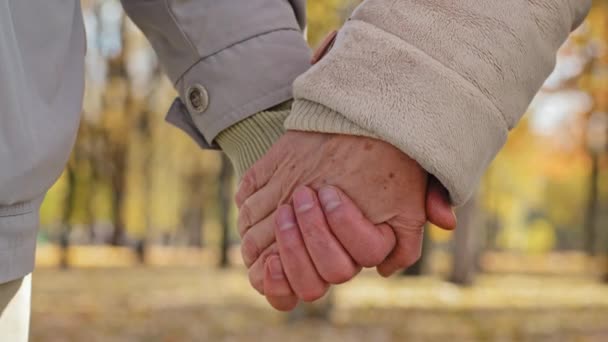 Közelkép ráncos kezek idős pár idős férfi és nő fogja a karját ősszel park erős családi kapcsolatok gondoskodó idősebb nyugdíjas nagyszülők bemutató szerelem támogatja az egészséges házasság koncepció - Felvétel, videó