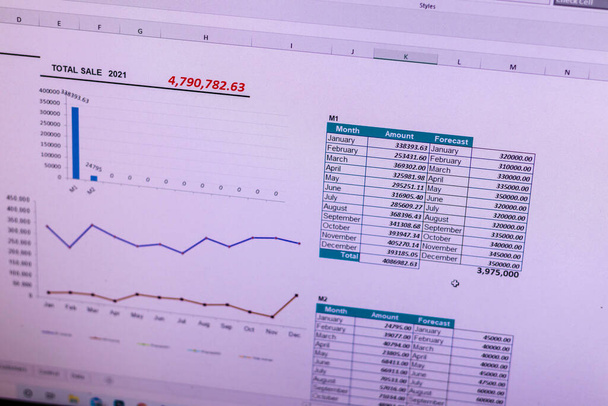 Aufnahme einer Excel-Tabelle auf dem Computerbildschirm mit Verkaufsbericht mit Diagrammen und Tabellen - Foto, Bild
