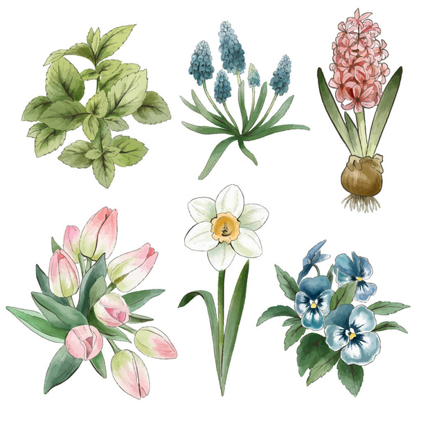 Set of spring flowers, vintage watercolor style, hand drawn vector illustration - Vetor, Imagem