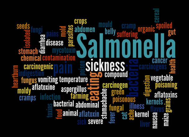 Word Cloud with SALMONELLA concept, isolated on a black background. - Photo, Image