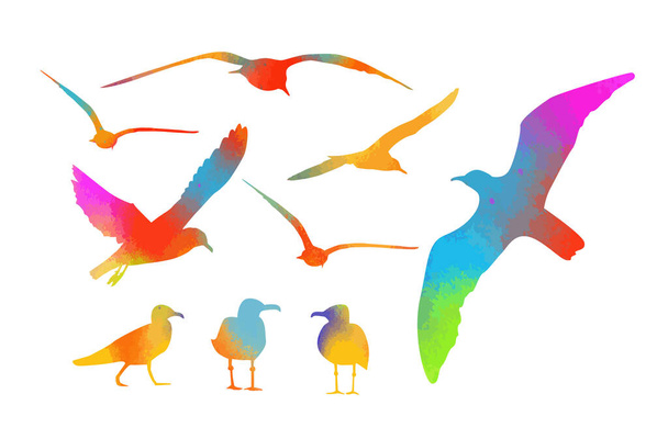 Set of multicolored watercolor sea gulls. Vector illustration - Vector, Image