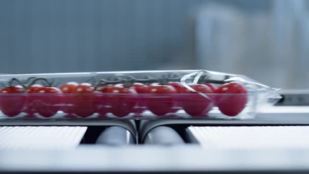 Fabryczne opakowania z tworzyw sztucznych pomidorowych poruszające się na technologicznej linii taśmowej zbliżenie - Materiał filmowy, wideo