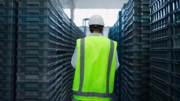 Entrepôt des employés inspectant les boîtes comptage emballage de distribution en entreposage - Séquence, vidéo
