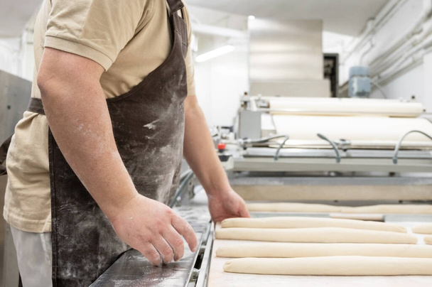 Piekarnik pracujący w piekarni przemysłowej przygotowujący tacki ze świeżym bochenkiem chleba.  - Zdjęcie, obraz