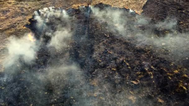 Antenni Drone View Over Burning kuivaa ruohoa ja savua alalla. Liekki ja avotuli - Materiaali, video