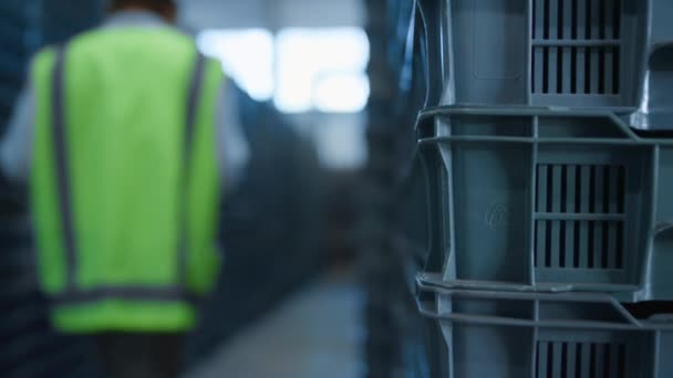 Mies varaston työntekijä kävelee sinisten kuormalavojen joukossa analysoimassa lähetysaineita - Materiaali, video