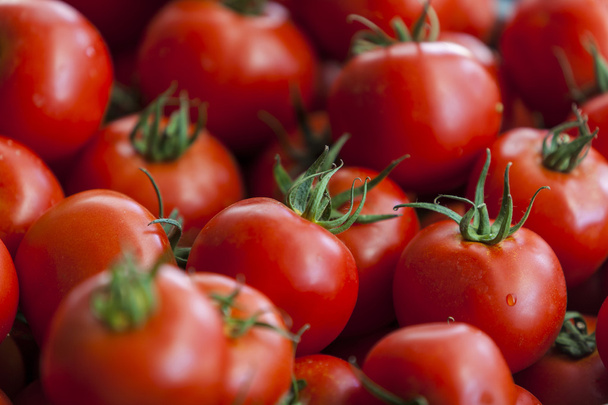 Tomates vermelhos
 - Foto, Imagem