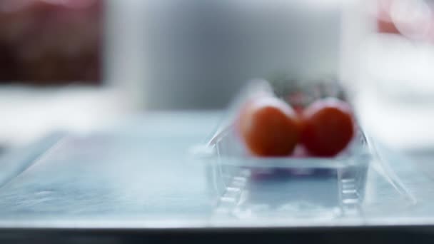 Pomidory selekcji pracowników procesu sortowania świeżych warzyw ekologicznych pakowania - Materiał filmowy, wideo