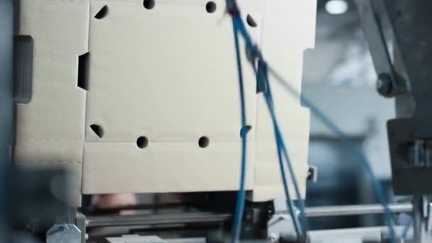 Closeup χαρτοκιβωτίων συσκευασίας διαδικασία κατασκευής μηχανική αποθήκη εργασίας - Πλάνα, βίντεο