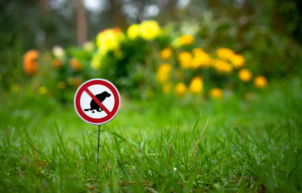 Un panneau interdisant la marche des chiens. Les animaux domestiques ne sont pas autorisés sur la pelouse. Le chien défèque. - Photo, image