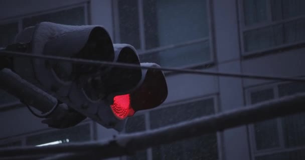 Közlekedési lámpa a Shinjuku-i városi utcán Tokió havazik - Felvétel, videó