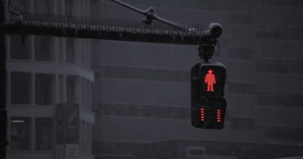 Liikennevalo kaupunkikadulla Shinjuku Tokiossa sataa lunta - Materiaali, video