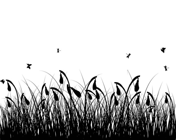 Spring meadow grass. Fresh plants, seasonal growth grass, separated botanical elements, herbs. Natural lawn bushes, floral border. Vector Illustration. - Vector, Image