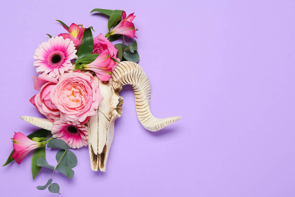 Skull of sheep with flowers on color background - Foto, Bild