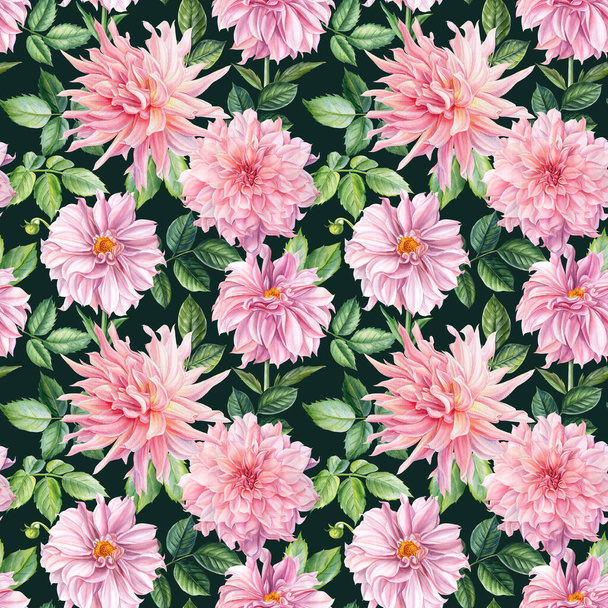 Jemné růžové květy. Bezproblémový vzor s Dahlií. akvarel květinový tisk - Fotografie, Obrázek