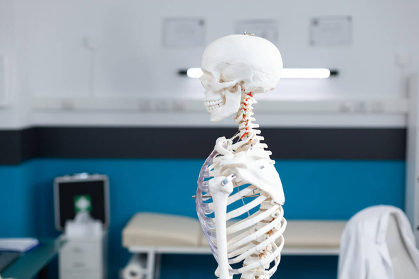 Visão deslizante do esqueleto do corpo humano em pé no consultório clínico vazio - Foto, Imagem