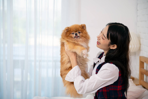 Young pretty Asian woman sitting and embracing Brown Pommeranian dog on white bed with copy space	 - 写真・画像