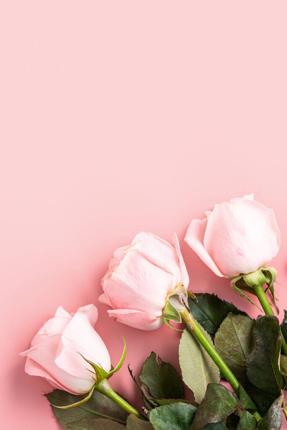 Valentine's Day design concept background with pink rose flower on pink table background background - Zdjęcie, obraz