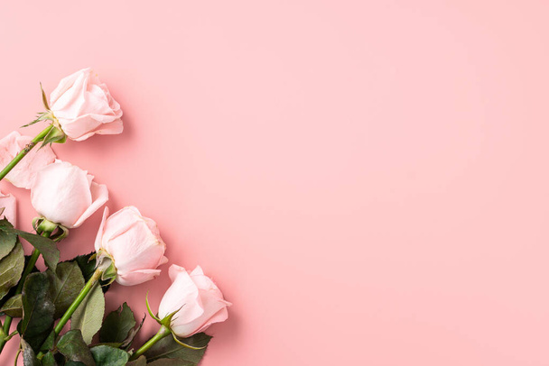 Valentine's Day design concept background with pink rose flower on pink table background background - 写真・画像