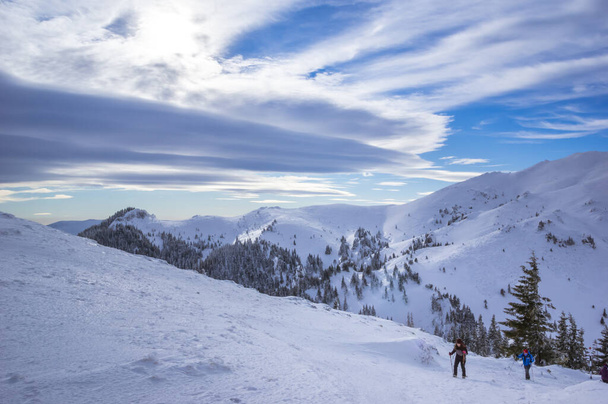 Montañas Ciucas en invierno, Cárpatos rumanos. Abeto y enebros llenos de nieve congelada. Hay excursionistas en la imagen. - Foto, Imagen