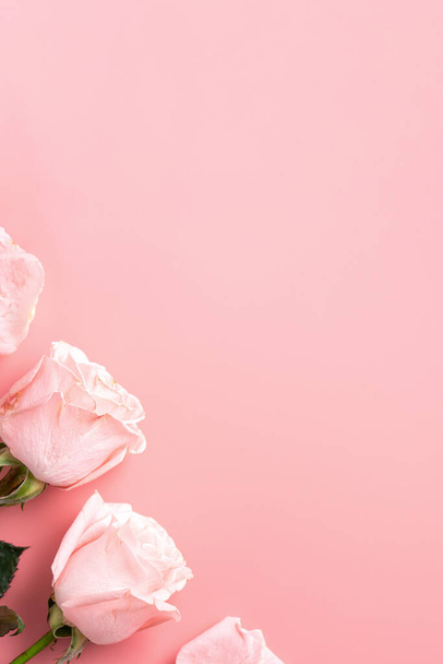 Valentine's Day design concept background with pink rose flower on pink table background background - 写真・画像