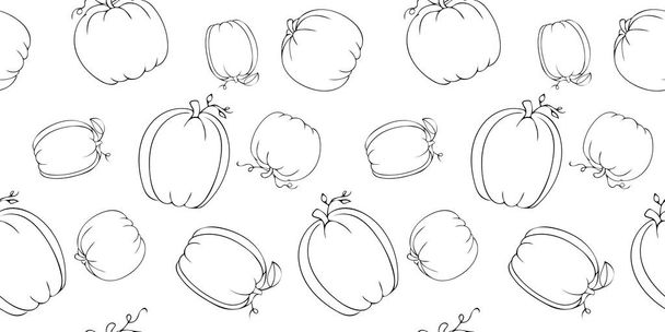 Hand Drawn Black Doodle Different Varieties of Pumpkins with Leaves Seamless Pattern Isolated on White Background. Vector illustration of elegant pumpkins for fabric, cover, textile, kitchen supply. - Vektör, Görsel