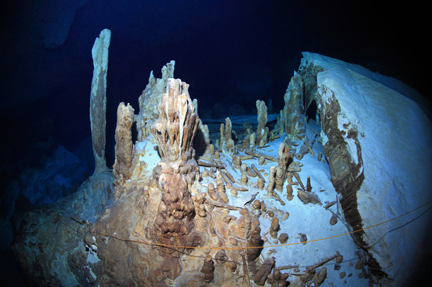Сталагмиты сенотской подводной пещеры
 - Фото, изображение