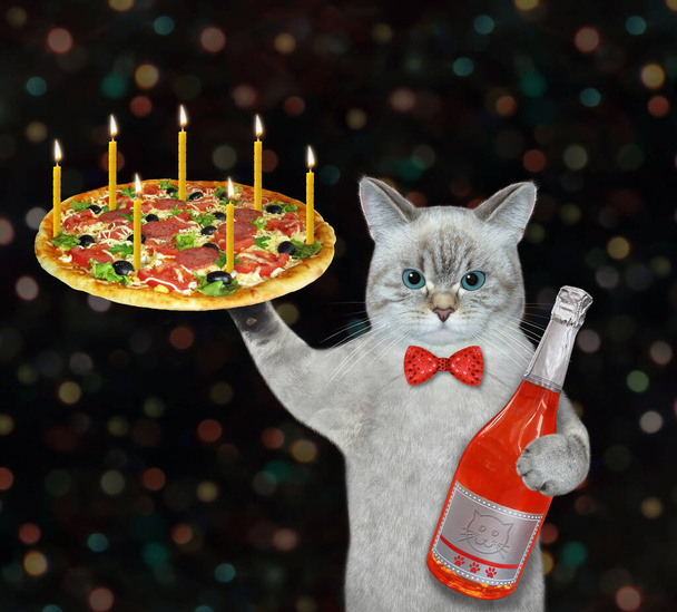 An ashen cat waiter in a red bow tie holds a holiday pizza with candles and a bottle of wine. White background. Isolated. - Fotografie, Obrázek