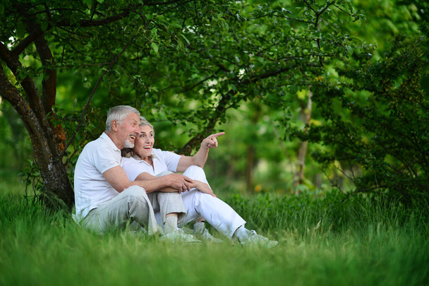 Happy senior couple posing in summer park. Woman showing something  - Foto, Imagem