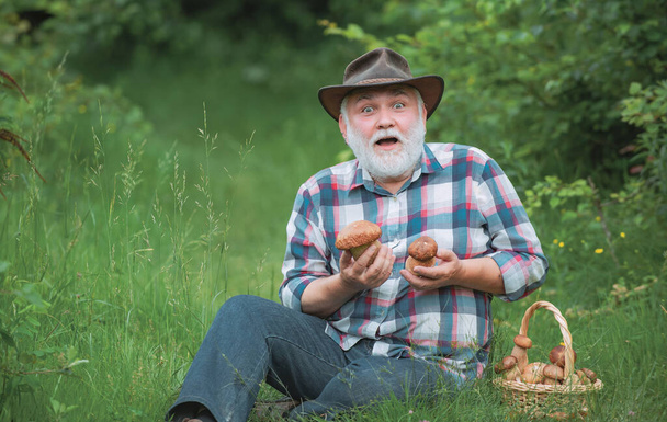 Grandfather with basket of mushrooms and a surprised facial expression. Mushrooming in forest, Grandfather hunting mushrooms over summer forest background. - 写真・画像