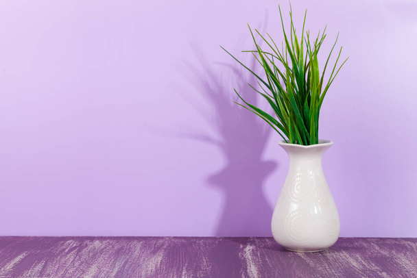 Planta verde en un jarrón blanco sobre un fondo púrpura, espacio para su texto. - Foto, imagen