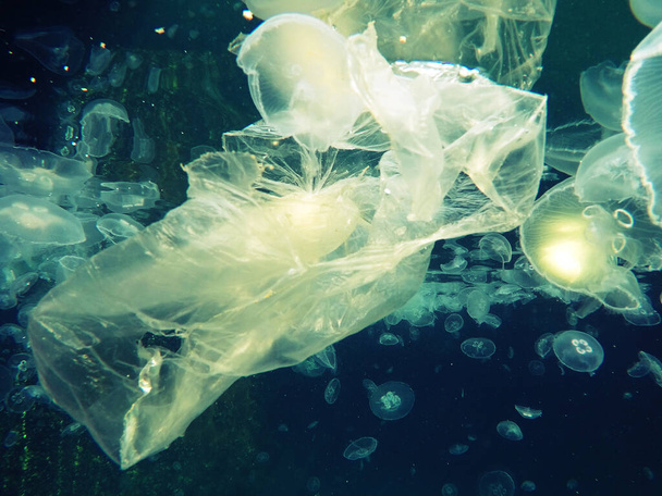 Bolsa de plástico flotante bajo el agua y haciendo peligro para los animales marinos - Foto, Imagen