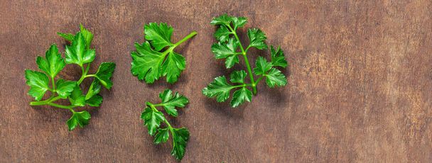  Parsley herb  leaves on wooden  table. Fresh Parsley  Closeup. Copyspace - Photo, image