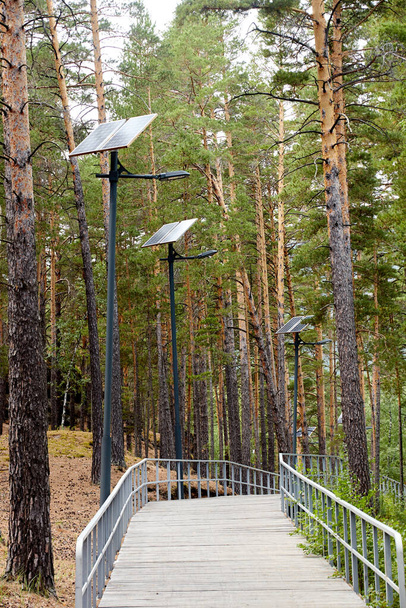 caminhadas e ciclovias na floresta com cobertura de madeira e grades de aço - Foto, Imagem