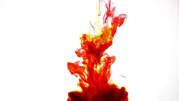 An explosion of colored paints in water on a white background - Foto, immagini