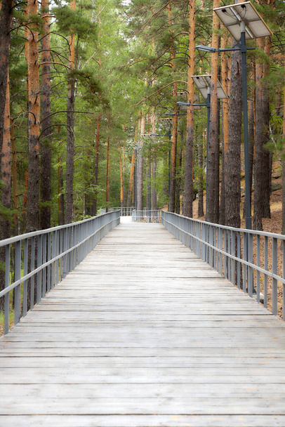 caminhadas e ciclovias na floresta com cobertura de madeira e grades de aço - Foto, Imagem