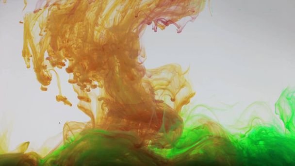An explosion of colored paints in water on a white background - Fotoğraf, Görsel