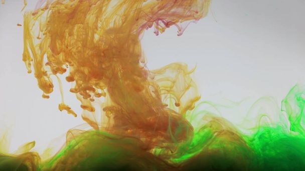 An explosion of colored paints in water on a white background - Photo, Image