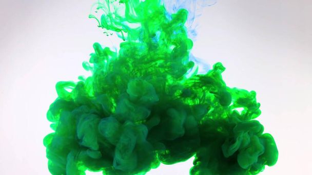 An explosion of colored paints in water on a white background - Фото, зображення