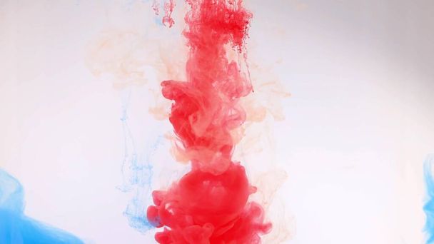 An explosion of colored paints in water on a white background. - Photo, Image