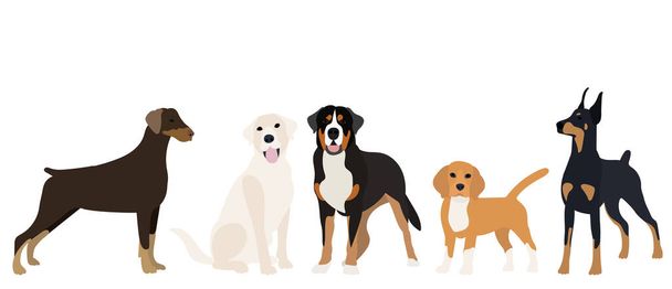 собаки плоский дизайн на белом фоне - Вектор,изображение