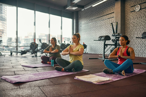 Girls practicing yoga and meditating in gym - Fotoğraf, Görsel